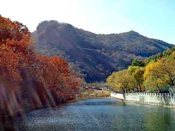 新澳天天开奖资料大全旅游团，矿灯价格